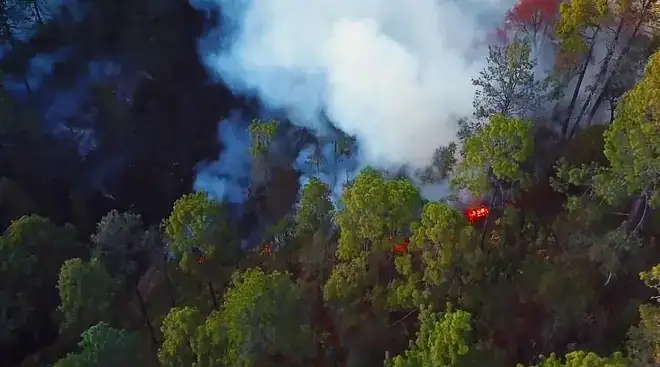 It's Time to Get FireSmart About Wildfires in BC It's Time to Get FireSmart About Wildfires in BC