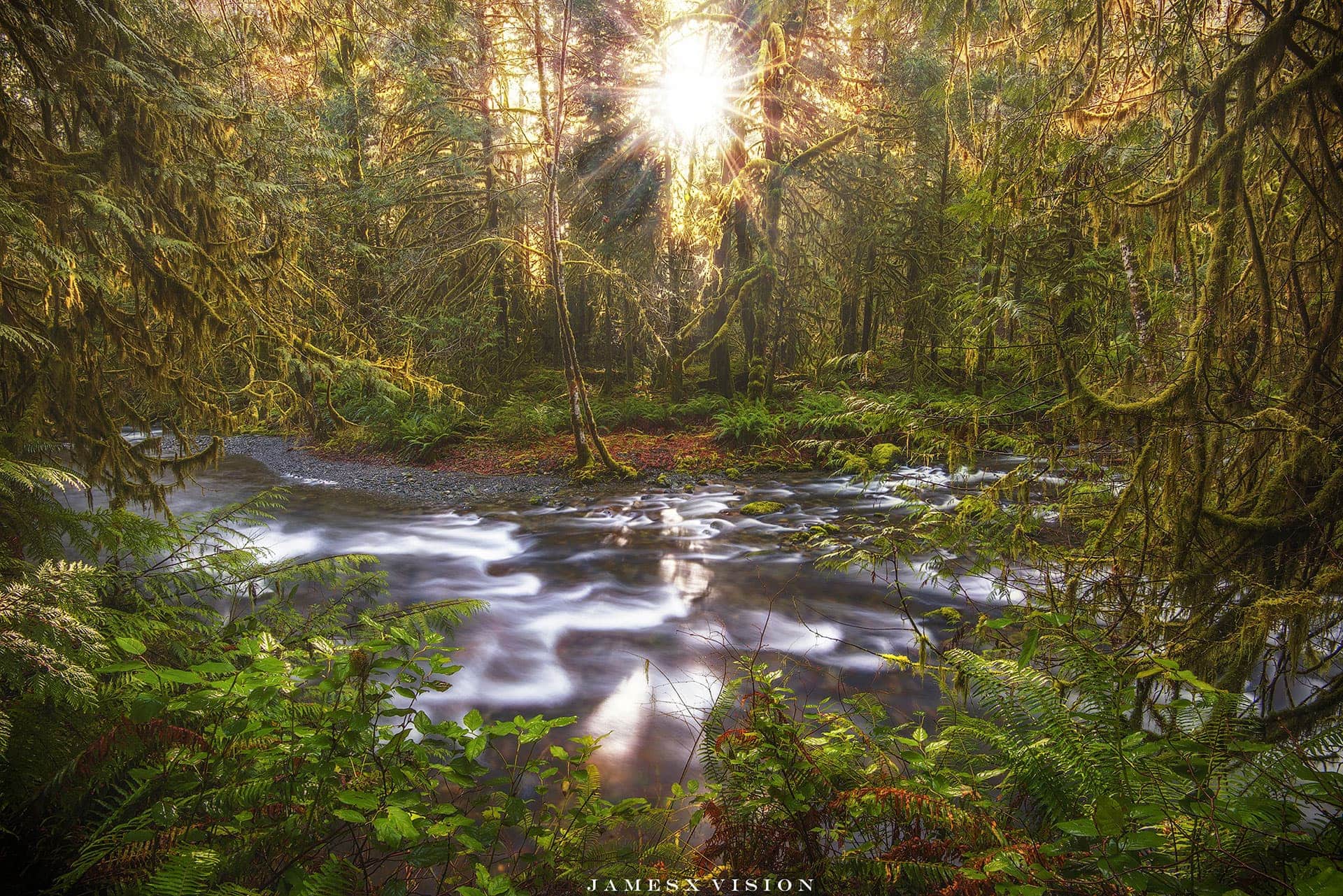 Health & Wellness Program