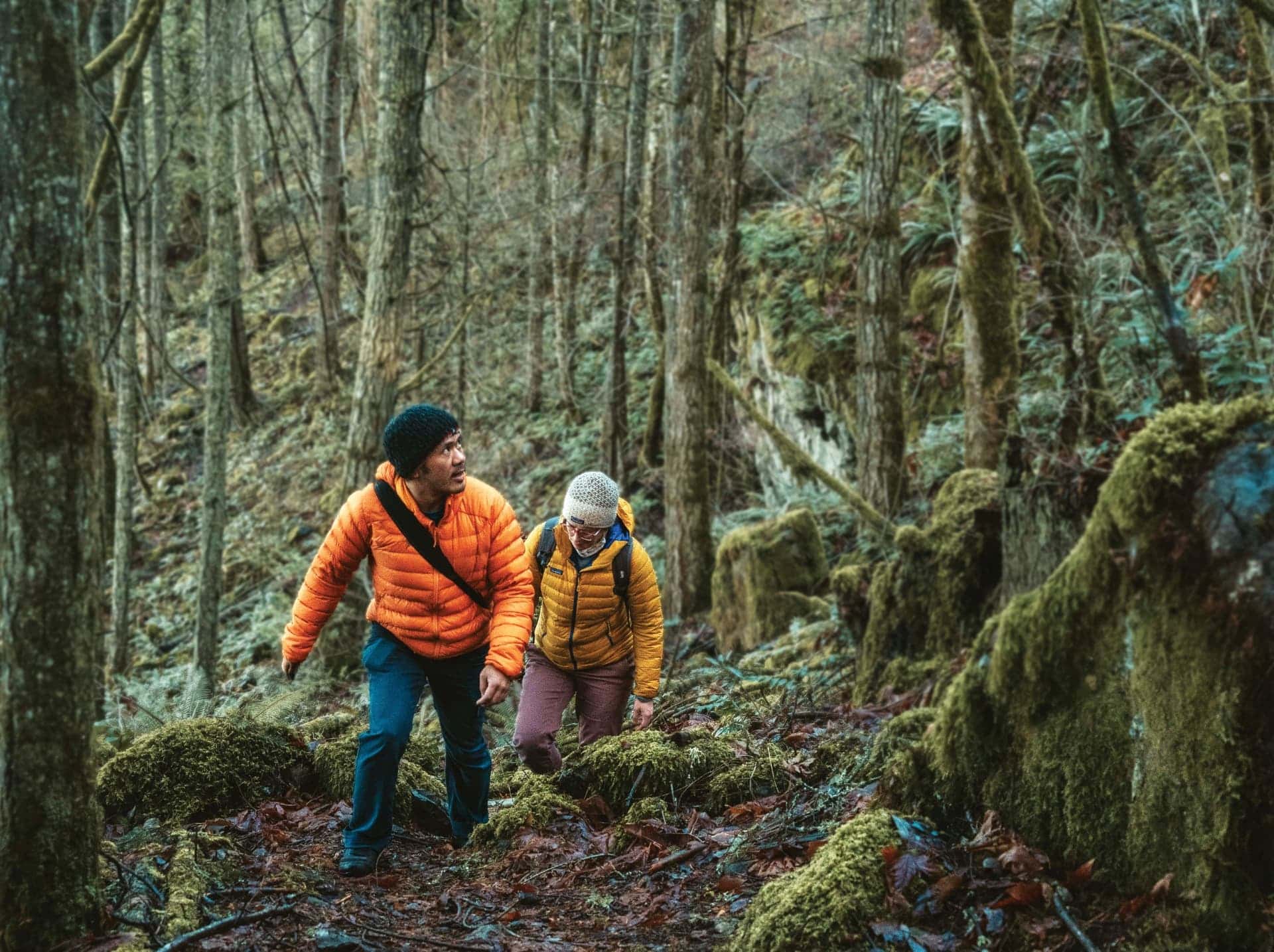 Nature Trails Nature Trails