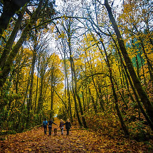 CITY OF LANGFORD APPROVES COMMUNITY WILDFIRE RESILIENCY PLAN